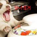 신호닭발 이미지