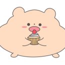요미플레이버