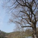 성요셉어린이집 이미지