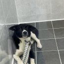 바른동물병원 이미지