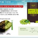 카페샾