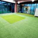 멍멍테라스 이미지