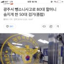 광주서 뺑소니사고로 80대 할머니 숨지게 한 50대 검거(종합) 이미지