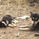 가을농장 이미지