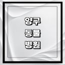 도담도담동물병원 | 양구군 근처 동물병원 추천 정보 | 24시간 잘하는곳 고양이 강아지 중성화 수술 애견 가격 비용 금액 후기