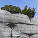 도시기억상실증 이미지