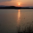 경포호수 4 Daum카페
