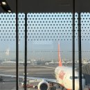 남원읍-106 | 겨울 제주 이야기