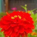 처서(處暑)뜻: 더위가 그치는 시기, 가을의 문턱 이미지