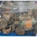 보성회센터 이미지