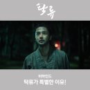 작가와감독 | 탁류 드라마 천성일 작가와 추창민 감독 비하인드