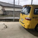 보은자동차운전학원 이미지
