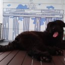 플라츠907(Platz907) 이미지