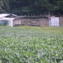 삼성사슴농장 이미지