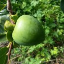 신중농장 이미지