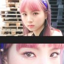 다인채널 이미지