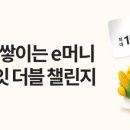 더블머니