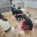 팅커벨 - 서구 가정로 100-1 | 팅커벨
