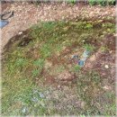 월평서로 | 막힌 하수구 뻥 뚫고 주말 루틴 되찾은 찐 후기