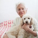 백남준아트센터 이미지