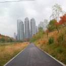 2012.11.12 (월) 강남송파 자전거연합 햇병아리모임(분당 중앙공원)-1 이미지