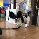 산천평상 이미지