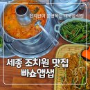 빠쇼앱샙 | [내돈 내산] 세종 조치원 맛집 현지인 운영하는 태국 음식점 빠쇼앱샙 솔직 후기