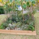 호수공원 삼거리(호수공원) 이미지