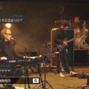 펜타포트 2020 1일차 후기 (자우림, 넬, Travis, 새소년, 비와이 등)