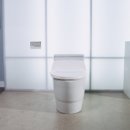 비데누리 이미지