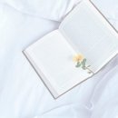 전곡-14 이미지