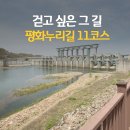 제83차 화요산행 평화누리길11코스(4월30일) 이미지