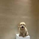 스테이홍천 이미지