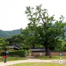 고산윤선도유적지 Daum카페