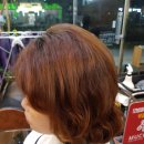 다이아나 헤어스토리
