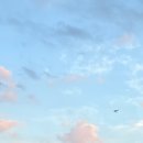 삼척시 종합사회복지관 | [삼척] 삼척시종합사회복지관 수영장 / 삼척발라드페스티벌