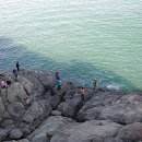 대항새바지 이미지