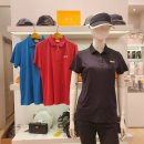 10-432 TS | [루이까스텔] 여성 여름 기능성 골프웨어 닥스훈트 로고 단체복 단색 반팔 카라 티셔츠