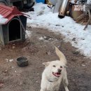 미호농장 이미지