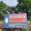 문경 천주산(836m) 산행하고 봉명산 출렁다리 건너 오미자 테마 터널 관람(240512) 이미지