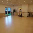 부산애견샾 애견미용 소유펫 | 초량동애견미용 잘하는 곳 맘바이서면본점 오픈형 공간에서 안전하게