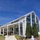 Come On PC Cafe | 숲 산책, 12명 가족여행 마무리까지 (Ganghwado Cafe Metaforest April Visit — Greenhouse, Forest...