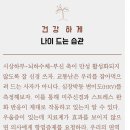 나이스카 이미지