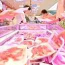 양지-2850 이미지