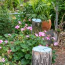 수인농원 이미지