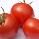 행복한 별 이미지