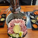 고심 고기연구소 이미지