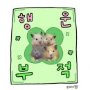 {다산고깃집} 한우정육소다산점 (100g에9900원) 동네 미니 캠핑장감성내돈내산 맛집