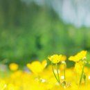 삼광약품 이미지