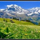 산들샬레 이미지